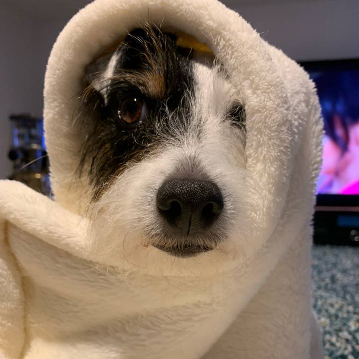 3fea70ce 67e9 4f49 9fb1 9d922c88b332 1665126156956