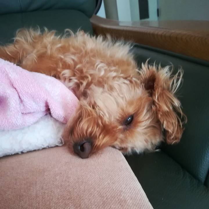 3fea929c 5096 4abf 9e61 4560257b88d2 1527469050630