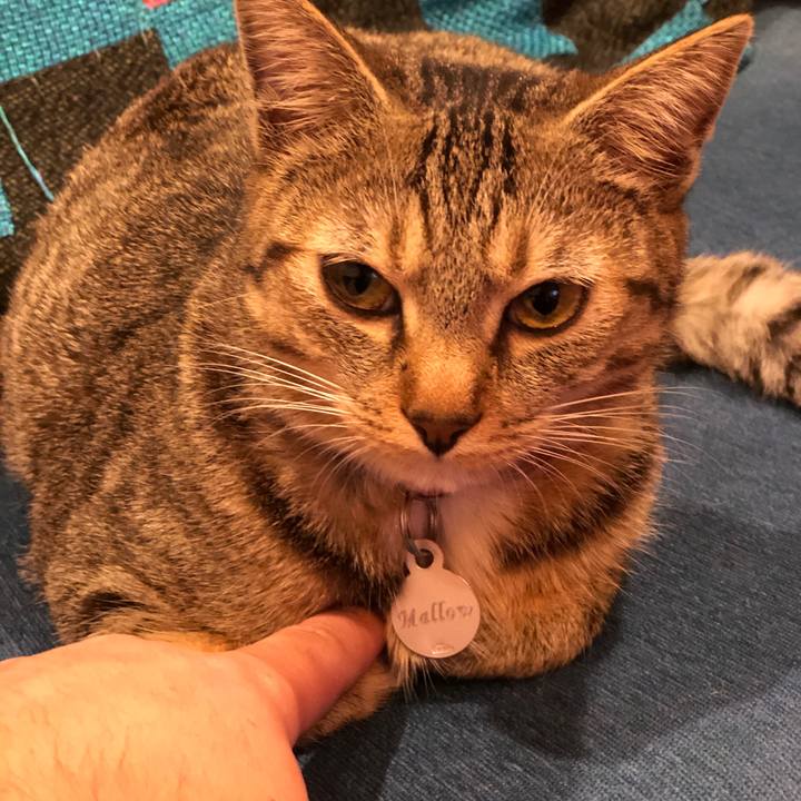 3feaa1a2 21dd 429b bb87 0004e49404a4 1578222892339