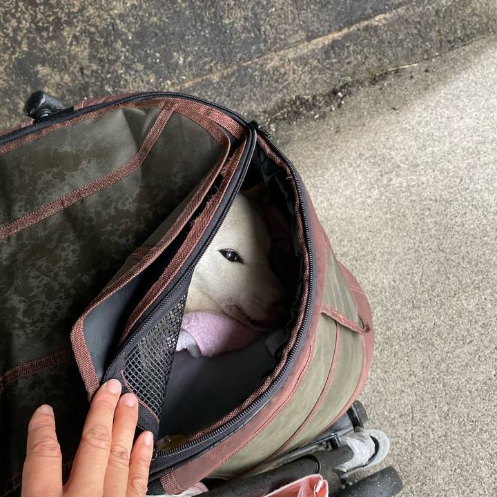 3feaece2 1bba 4db1 99ed c4ef0e88d051 1675754577172