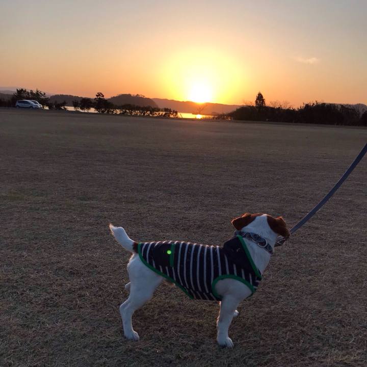 3feaf9b4 5cd4 45d6 a3c6 50edef6570c0 1521537333471