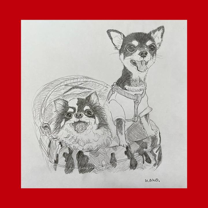 3feb0ebd 300c 4df2 992a 9c7fe882017b 1668711709284