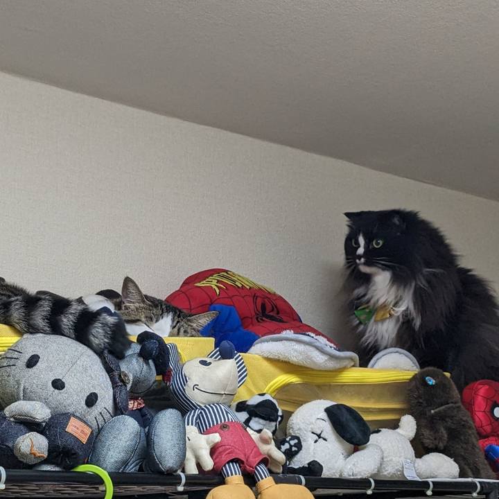 3feb8538 f6cd 4eb0 98ee db86dc245473 1696057514412