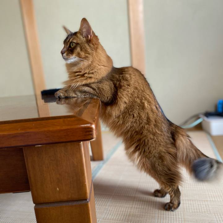 3febf614 3c87 46ac 98cd a44ee31782d9 1653713503609