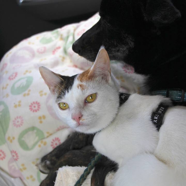 3fec0ad5 234d 4f06 ab77 a5daf1a36779 1558354032078