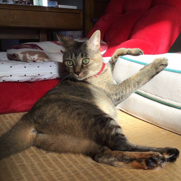 3fec5e6f 7aef 4669 b2d0 33e16a347ef3 1599260246037