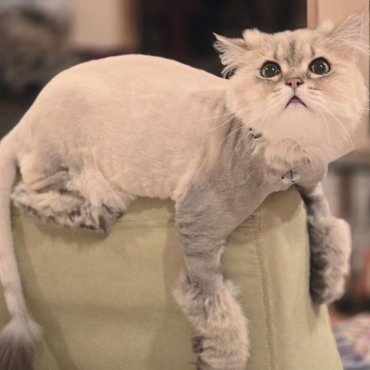 3fecaf2b 2d3a 4325 a487 50c9a47f1d28 1751328011072