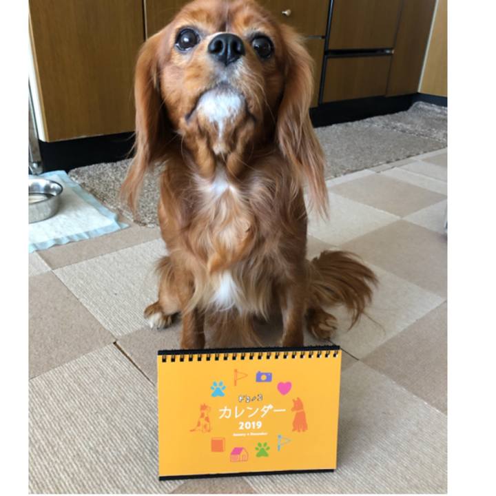 3feccb4d 4f9e 4aad 8e3f db65fc2d6d02 1546050834698