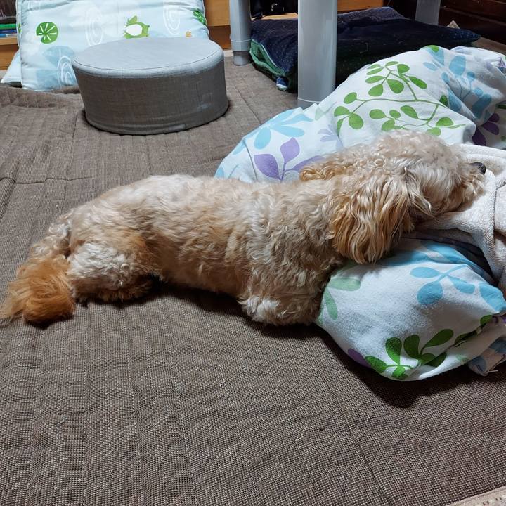 3fecd221 47c3 4db8 bda3 4d6cb517e724 1655420116860