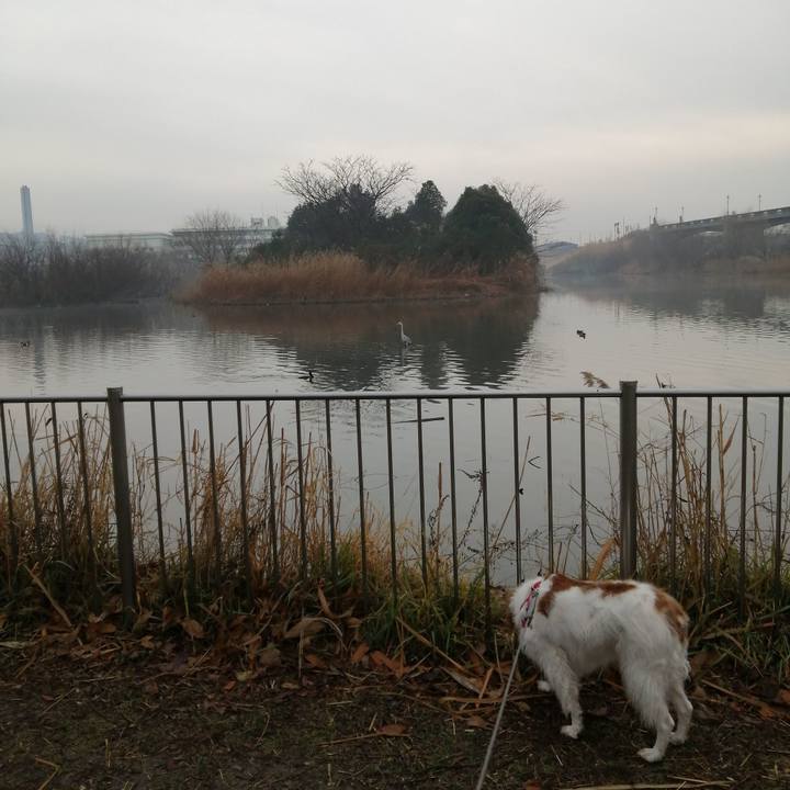 3fed0766 e190 41db b1f4 47e3a922ef73 1581640562313