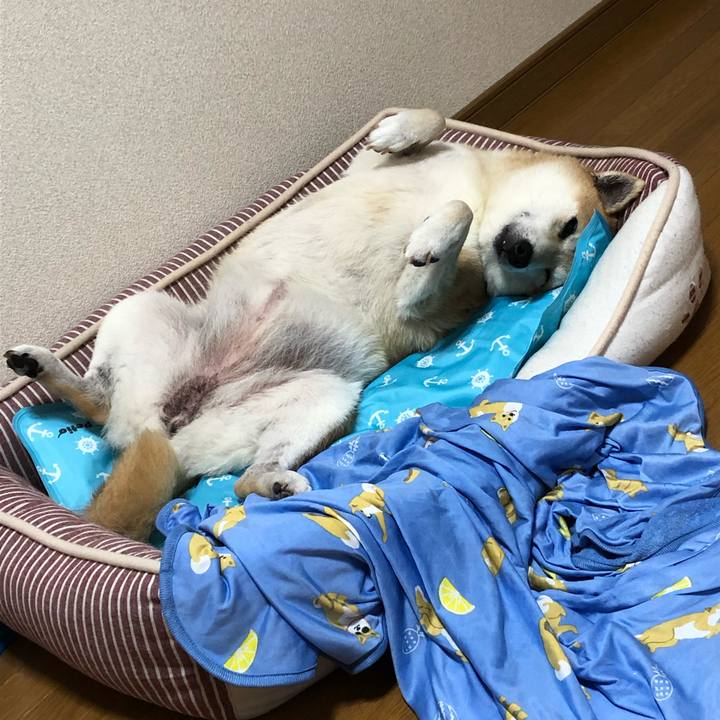 3fed231d f013 489b a7d3 b5625244409d 1562223086137