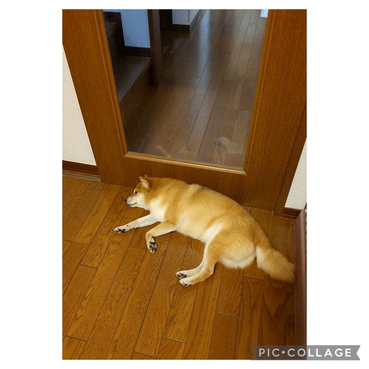 3fed4efe 7b79 41d9 bdd4 61faf17589a4 1726274724761