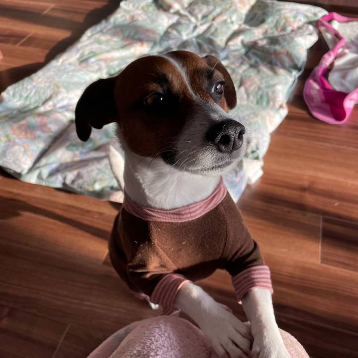 3fed7fbf 5499 427d 9905 450b8511b620 1646433208596