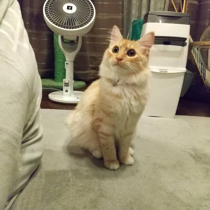 3feda491 9f37 4f2c 8c32 787fa747033b 1619786044321