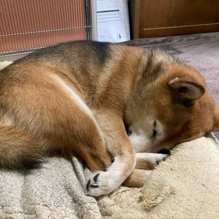 3fedc572 af4c 452d 919f 2accecba5924 1704601411890