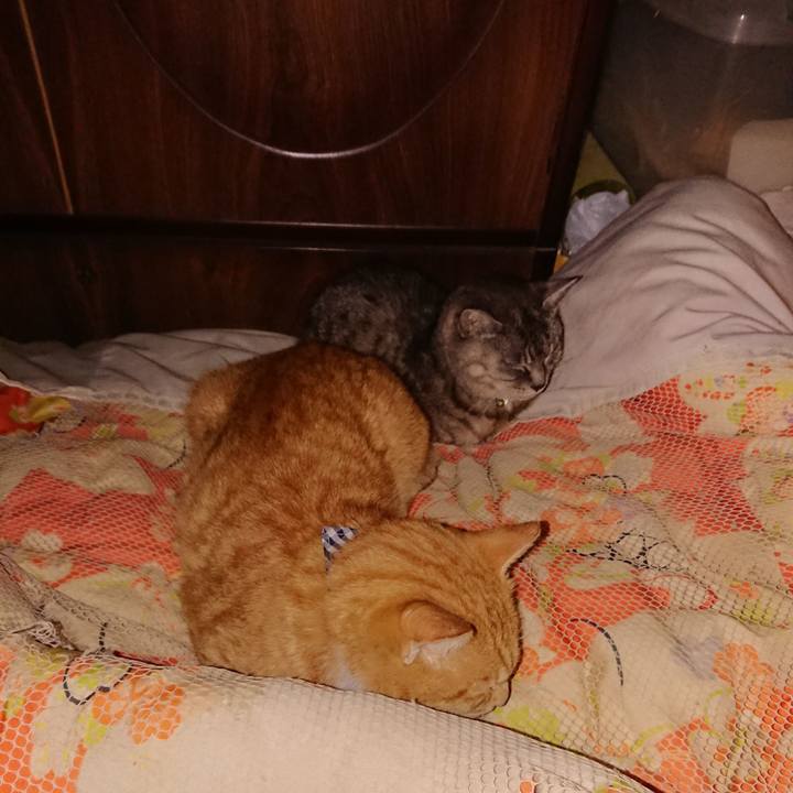 3feddc76 1cc0 48a6 a5cf 9ce19b90dfff 1568925684786