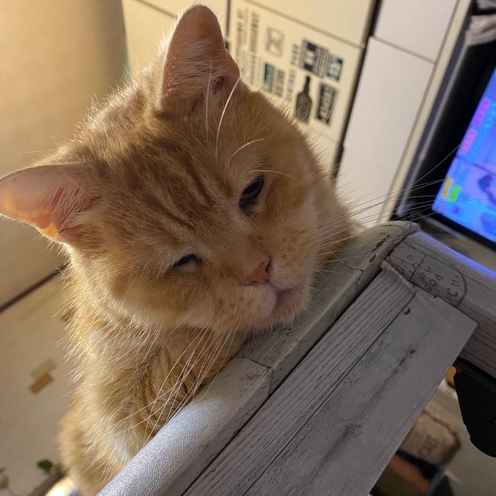 3fede574 96be 41e1 b5f6 1a3b6c194c13 1629025829664