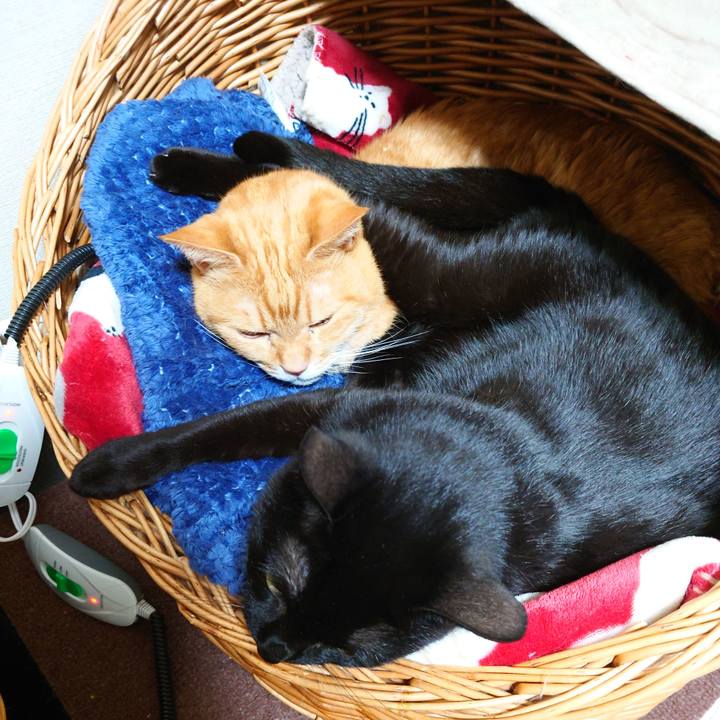 3fee0e6d 8ca9 46c1 a0c3 701c6e71ebf8 1738750425367