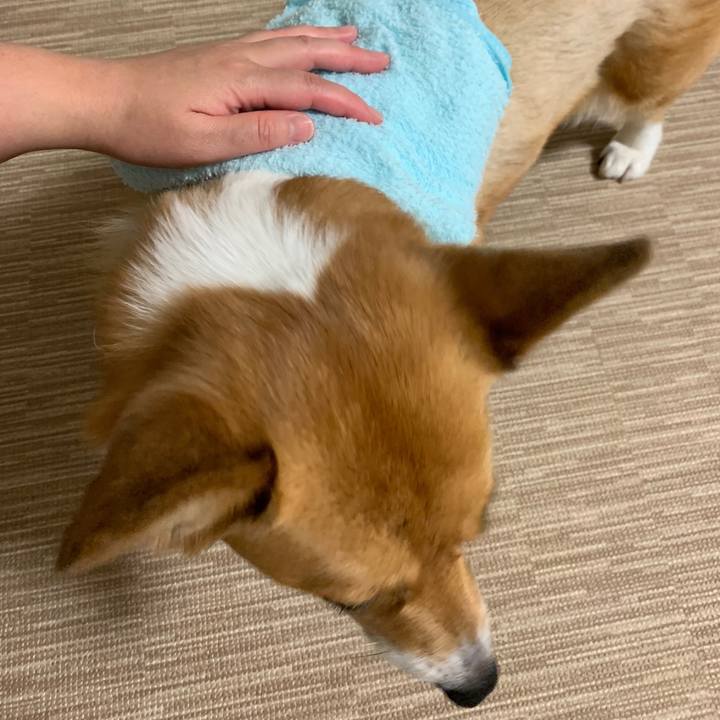 3fee1243 7a84 482b 9112 475e8a90a1c4 1561810357006