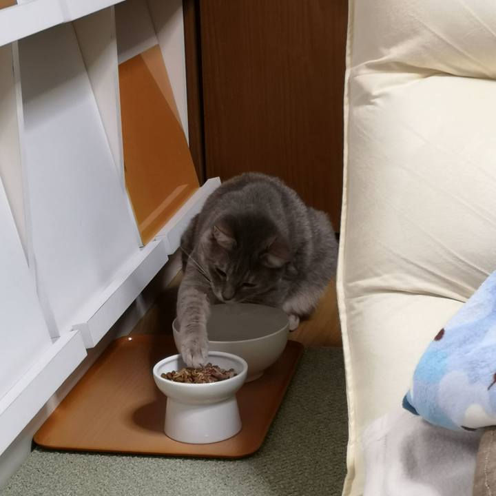 3fee26de 46fa 4e29 ac0b a665e8293b30 1589702469128