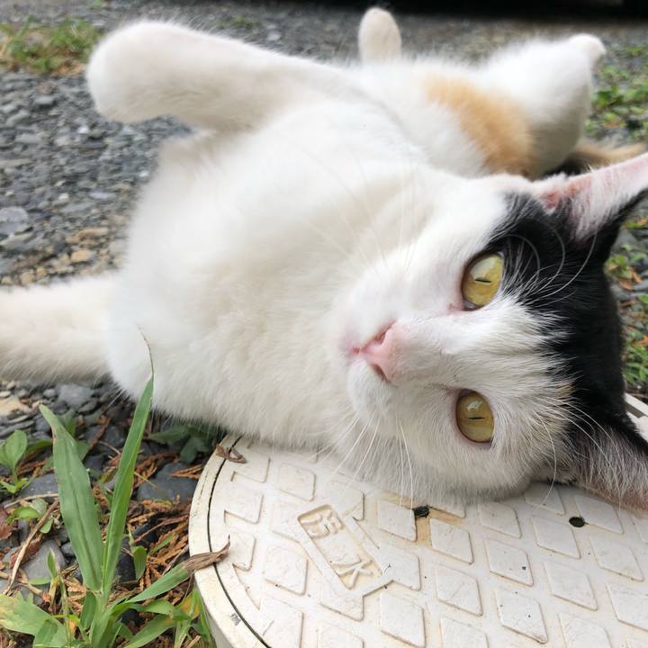 3fee2952 2ade 4f96 88e5 bd60c412c1f0 1599952578906