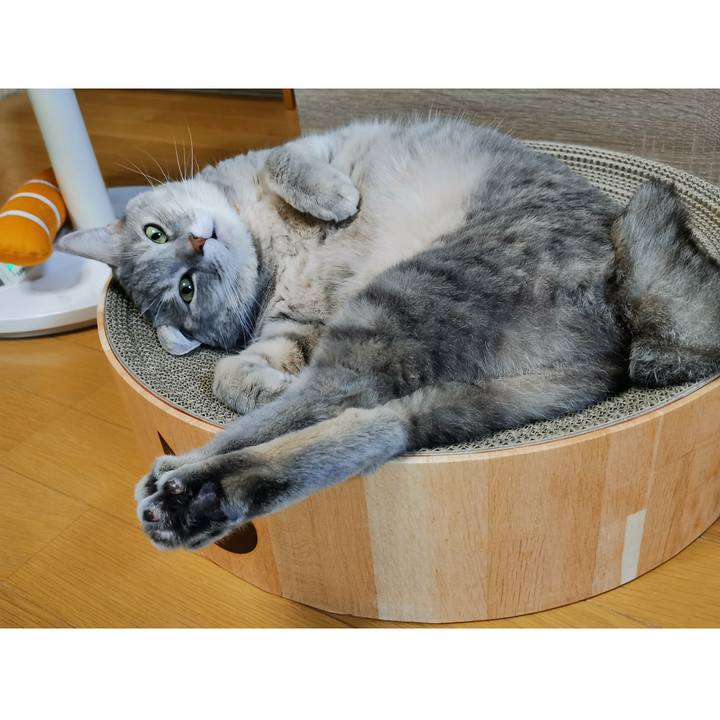 3fee6c4e f0a9 4fe4 ac18 a7f13c84e477 1633151819948