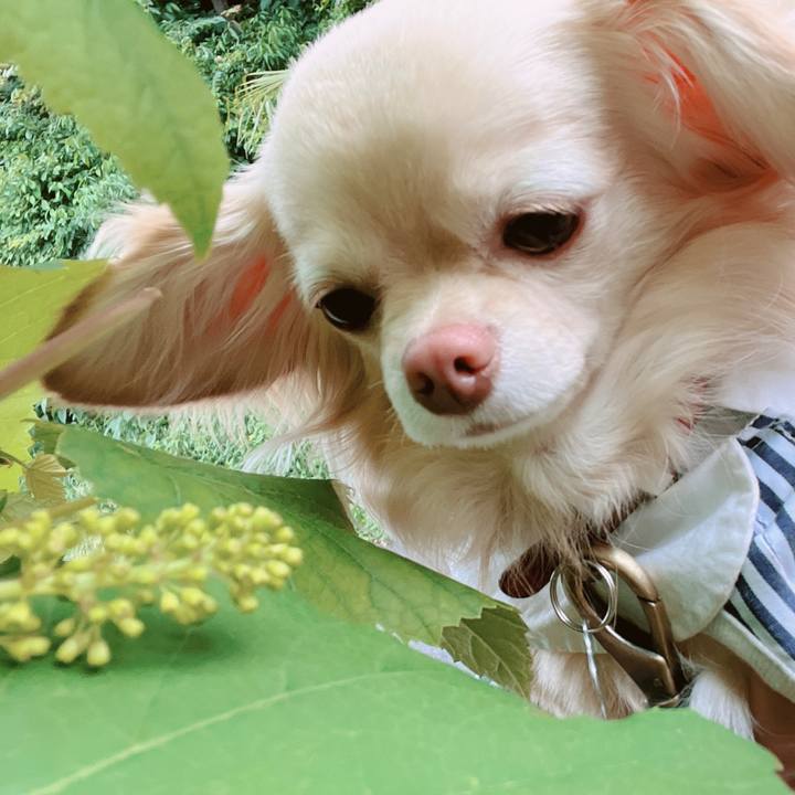 3fee705c e4df 4e3f a7b7 efd5b4f26b79 1653043202507