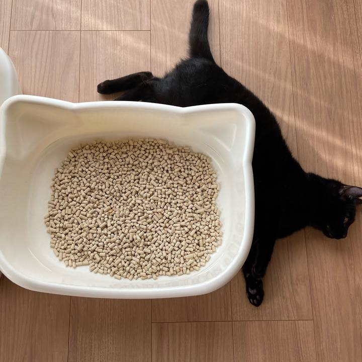 3fee7b3e 3b31 4f0b bfda df1b30f6deb9 1620990240021