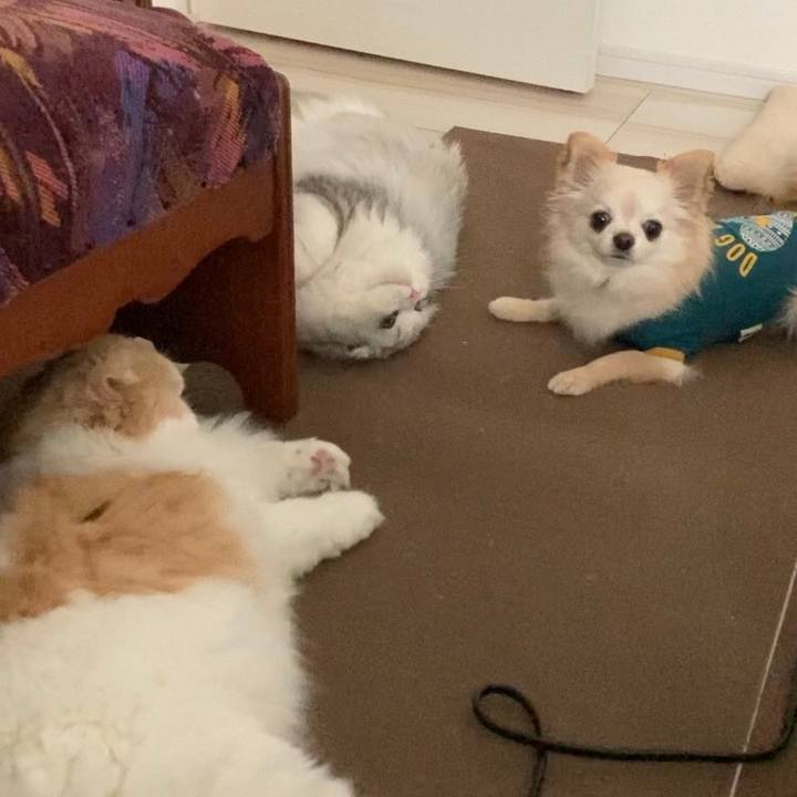 3feed28d aa7b 4218 ab81 c2893017814f 1609412226313