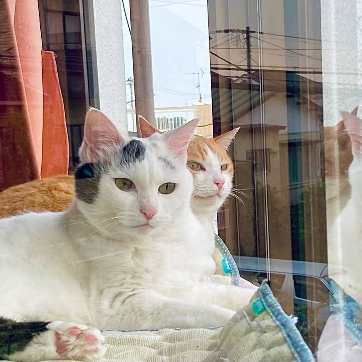 3feeef33 3549 444b 94e8 b700e4a6575f 1655691512251