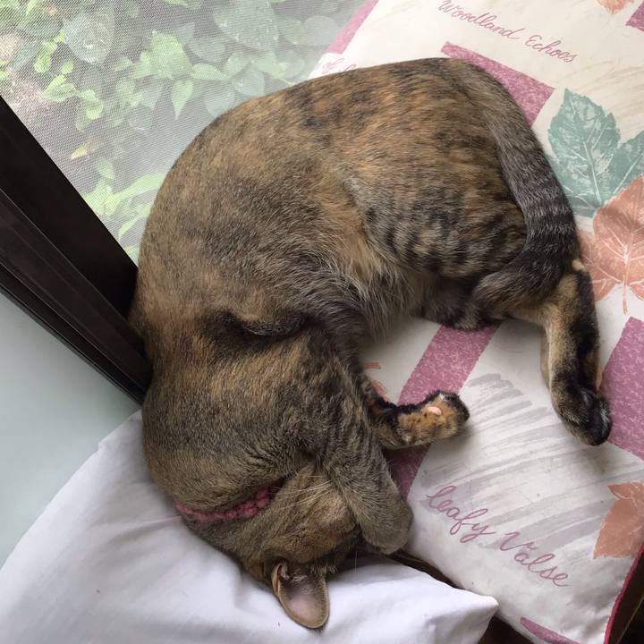 3fef1604 248b 4d7b 8624 794e3918fd8d 1593916687776