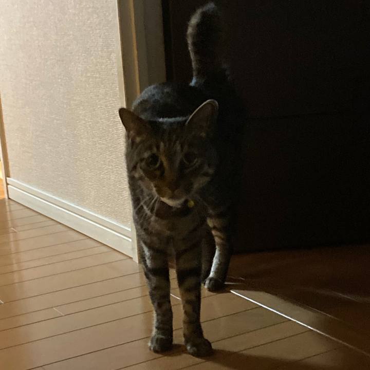 3fef1b0e a73d 4861 8582 05cddf900f26 1621130939455