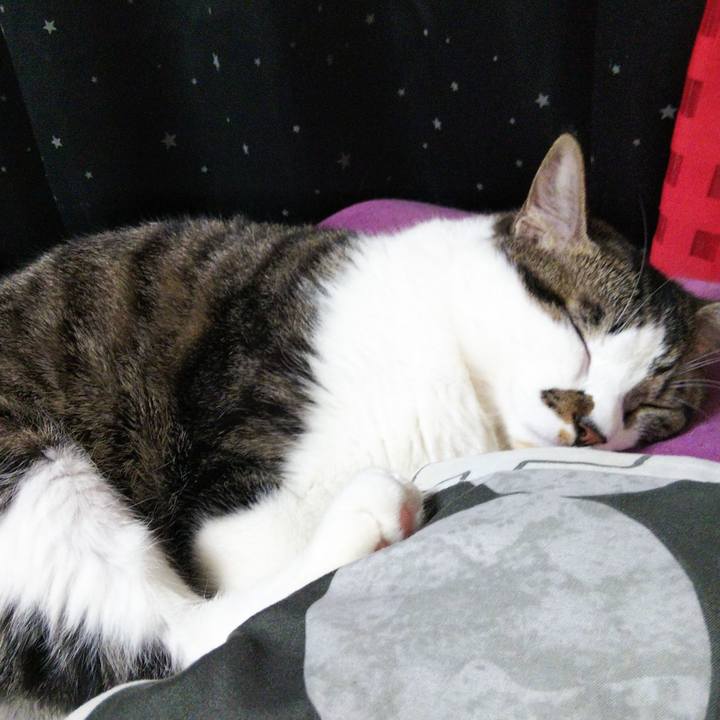 3fef1fff 1876 4141 a48e fcefc62fff49 1634459987257