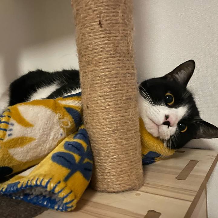 3fef364a 2b8c 4fde 8fc4 b262a1787946 1705402716926