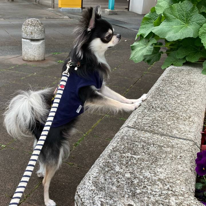 3fefabf5 30af 46bb a3f6 4cd1297ca7c2 1616902283812