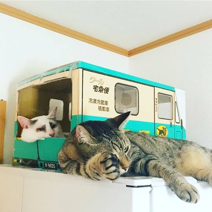 3fefcbb9 ee6b 42c7 b360 bd5f9063e457 1526593599045