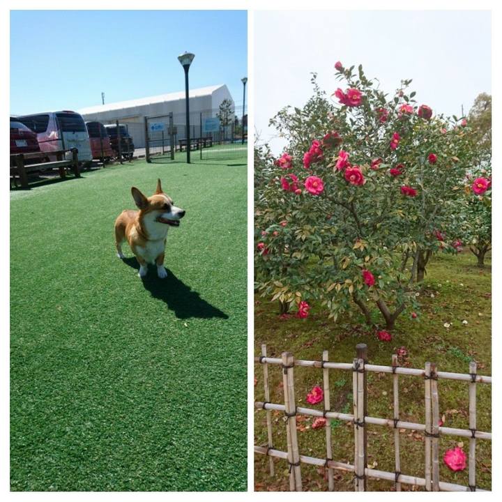 3fefd358 0123 49d0 83aa 2d5f079d2ead 1585622785465