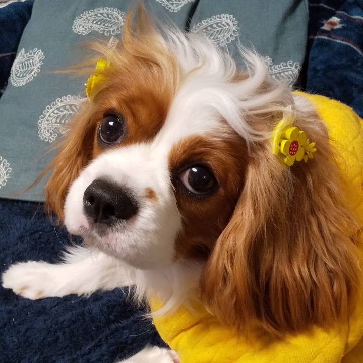 3ff00109 f8c7 47ca a736 218a44c10dbc 1584700719480