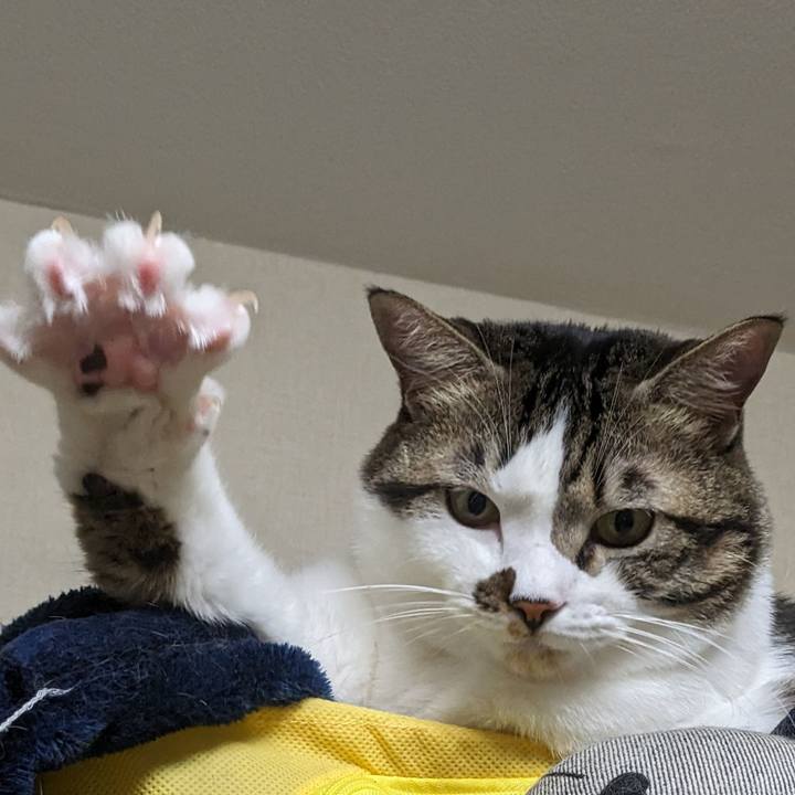 3ff00c9d 1880 48c2 8e43 5acdd34df8c9 1698570228997