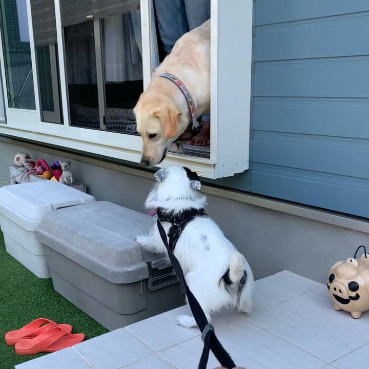 3ff014cd 66d4 4ad6 ac1e e0ea7525b1e0 1750203087544