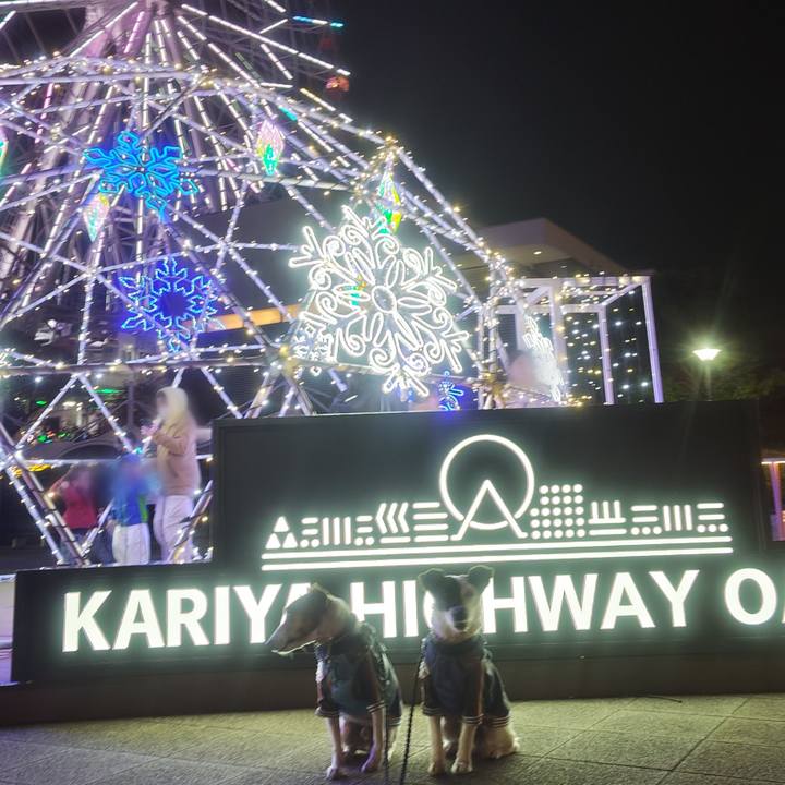 3ff018cf ffc2 45a4 a5b7 0715883811c8 1765625008595