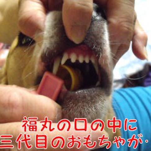 3ff04af3 b495 4646 bd09 99ec9ff2a3cc 1715808225921