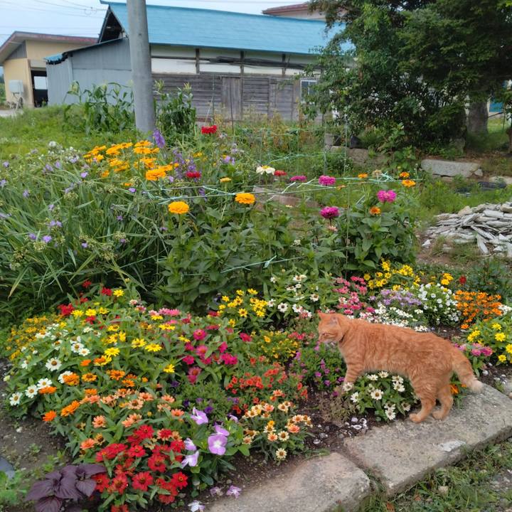 3ff05b70 8fc0 4d34 aa7d 4be1ac44a732 1720133620833