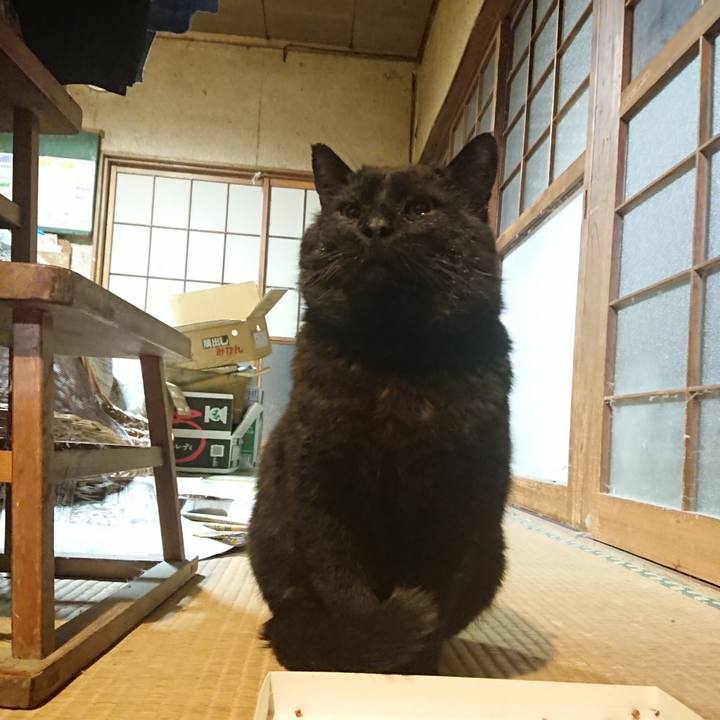 3ff06d26 0877 417d 9bd0 9d3abb3da7fb 1617705929074