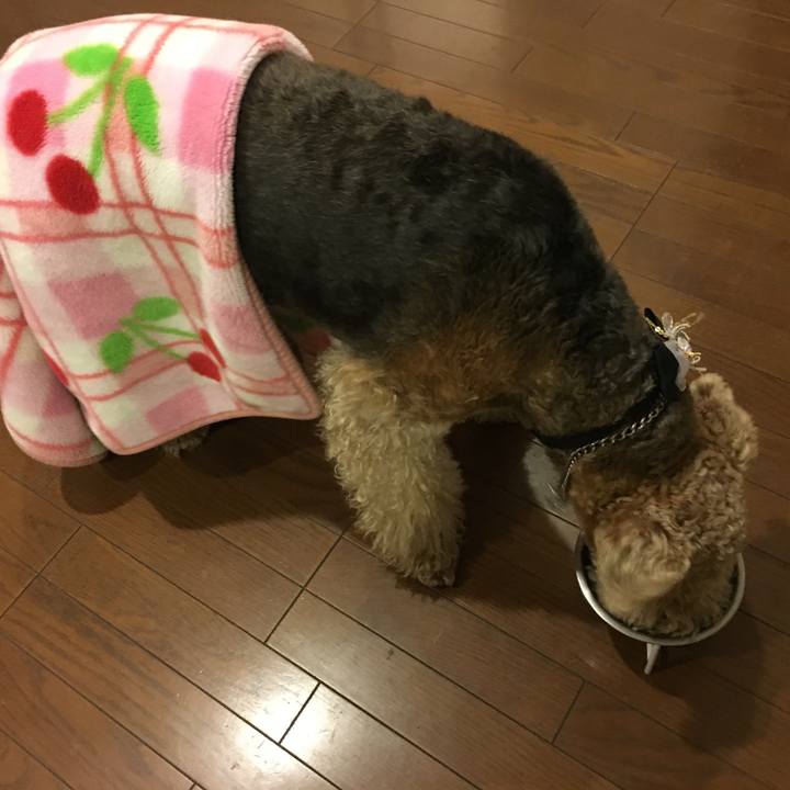 3ff09f58 5276 4421 b571 e26e2ae1bc8a 1547210444284