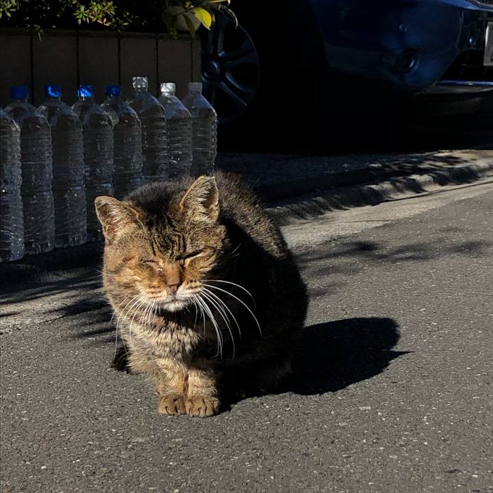 3ff0c55c 7d3d 4eb7 a903 c086ec9cc146 1583135290596