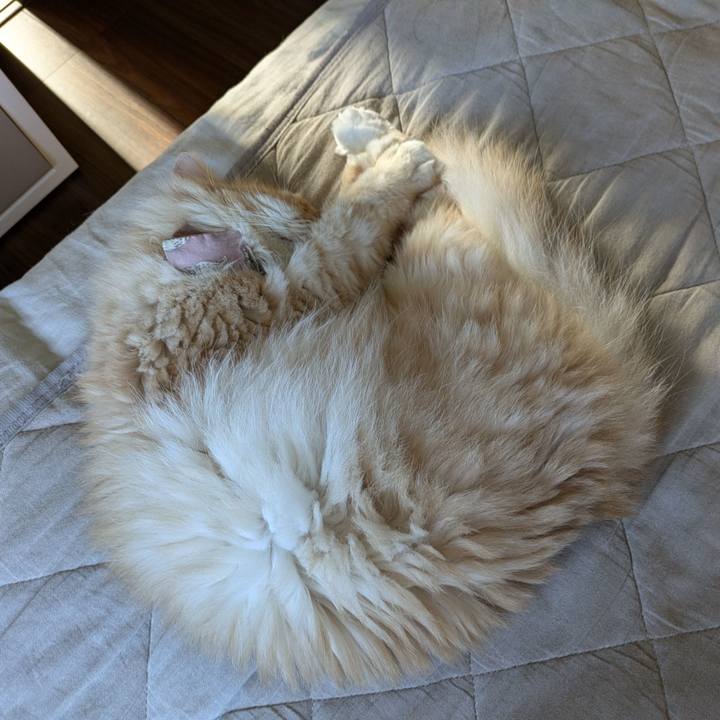 3ff11659 5fab 44ec b645 18ee2c0d4275 1727308783311