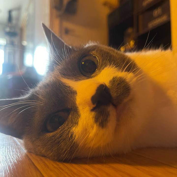 3ff1167c 83b4 442d 8238 aab84bb4f6de 1747870828982