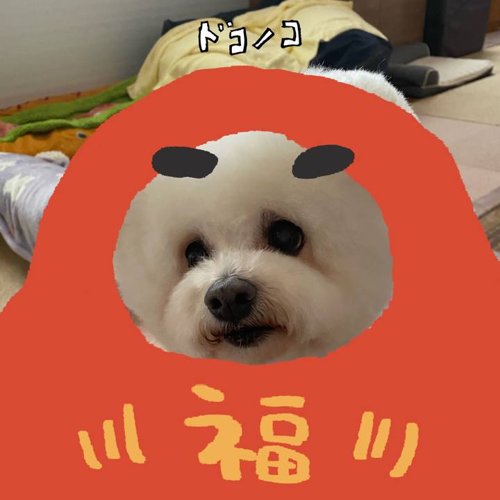 3ff196b2 91c6 47ad b50d d76515ada4db 1771915127460