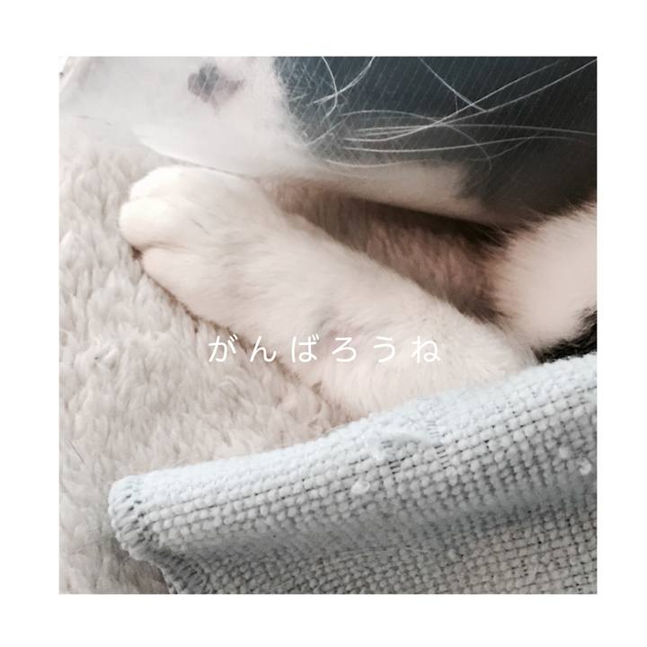 3ff1c2ed 8f13 470e b131 c21aefd61463 1586141194546